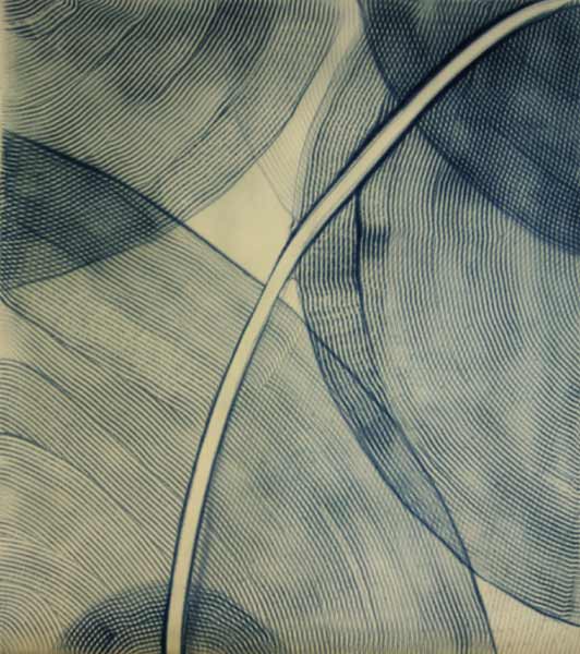 photo of renee glass