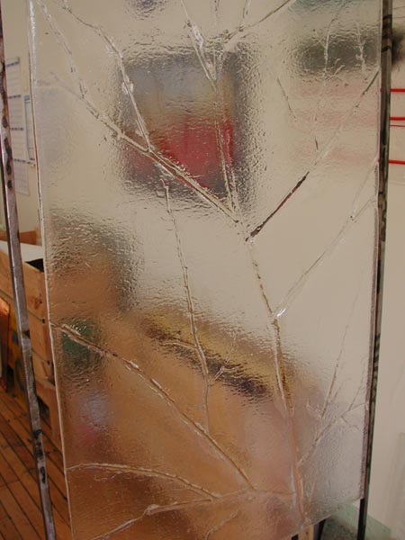 photo of renee glass